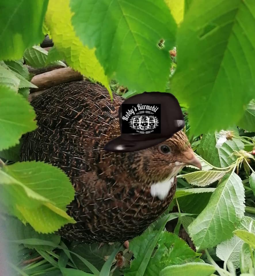 Mehr über den Artikel erfahren Nobby’s Biermode
